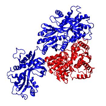 Structure preview of GluA3 R163I NTD dimer and LBD monomer classical all-atom MD run 2