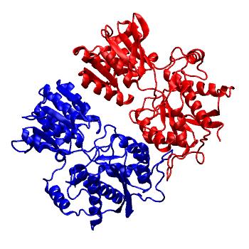 Structure preview of Parallel GluA3 WT NTD dimer (PDB 3O21, dimer CD) run 2