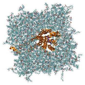 Structure preview of Mg2+-bound human oxytocin receptor bound to oxytocin; system B