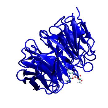 Structure preview of MDBind 2h9p