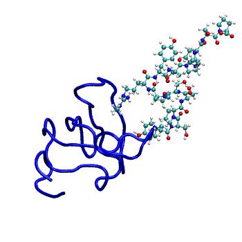 Structure preview of MDBind 2lto