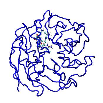 Structure preview of MDBind 2o9k