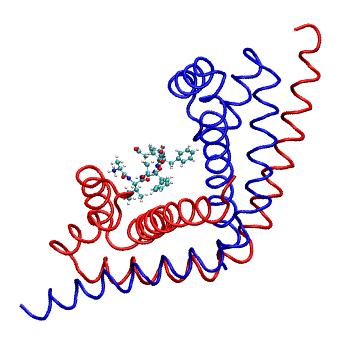 Structure preview of MDBind 2pem