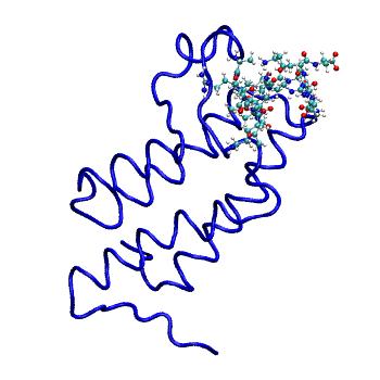 Structure preview of MDBind 2rnw