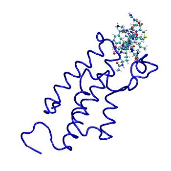 Structure preview of MDBind 2rnx