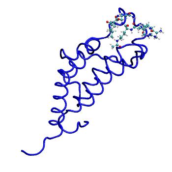 Structure preview of MDBind 2wp1