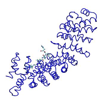 Structure preview of MDBind 2yns
