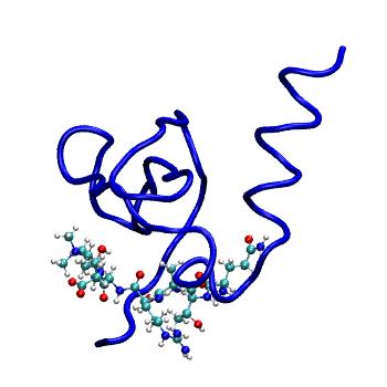 Structure preview of MDBind 3gv6