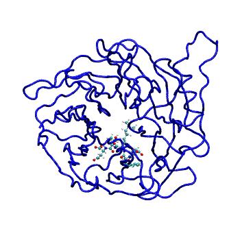Structure preview of MDBind 3jzh