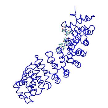 Structure preview of MDBind 3l3q