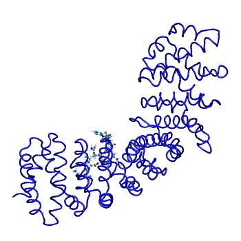 Structure preview of MDBind 3q5u