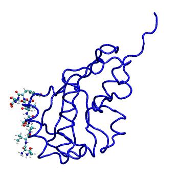 Structure preview of MDBind 3r42
