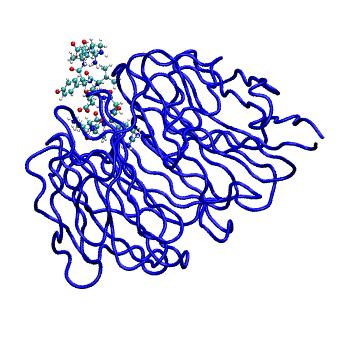 Structure preview of MDBind 3uvm