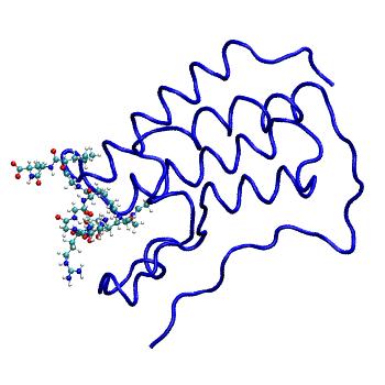 Structure preview of MDBind 3uvw