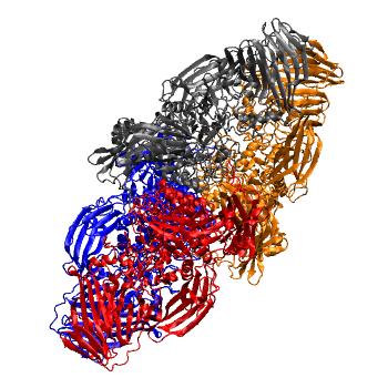Structure preview of MDBind 3vd7