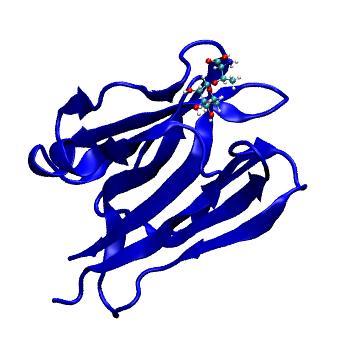 Structure preview of MDBind 3vzg