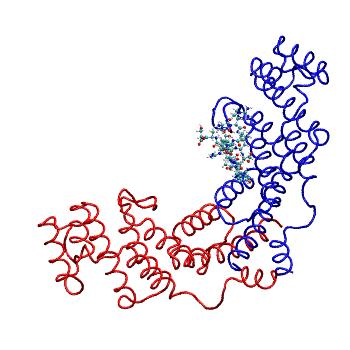 Structure preview of MDBind 4rqi