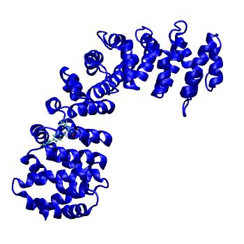 Structure preview of MDBind 4u5o