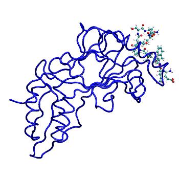 Structure preview of MDBind 5jer