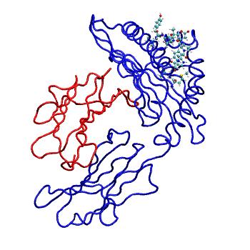 Structure preview of MDBind 5n1y