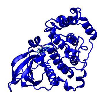 Structure preview of MDBind 5oul