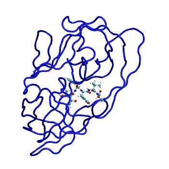 Structure preview of MDBind 4eqj