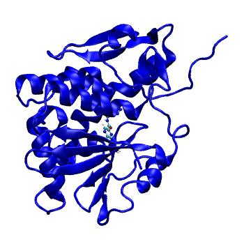 Structure preview of MDBind 4esi