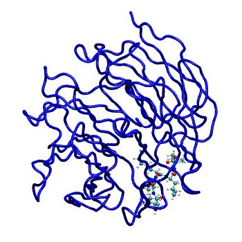 Structure preview of MDBind 4j78