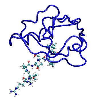 Structure preview of MDBind 4jog