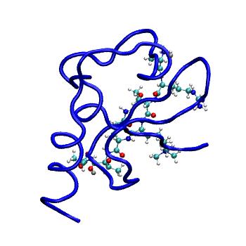 Structure preview of MDBind 4l58