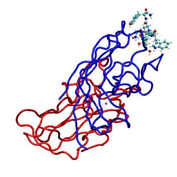 Structure preview of MDBind 4lkf
