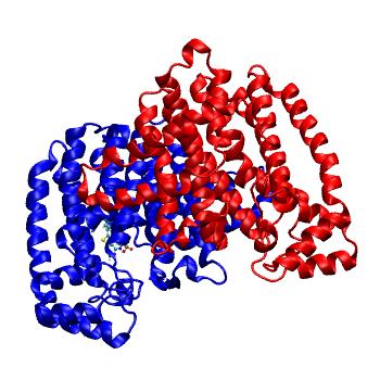 Structure preview of MDBind 4lph