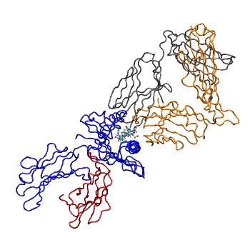 Structure preview of MDBind 4mji