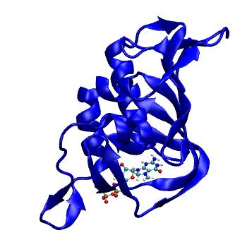 Structure preview of MDBind 4or4