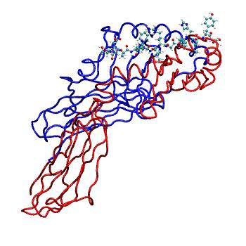 Structure preview of MDBind 4ov5