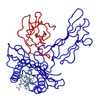 Structure preview of MDBind 4pr5