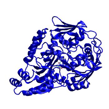 Structure preview of MDBind 4qfp