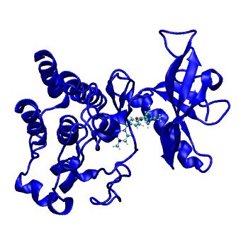 Structure preview of MDBind 4qrc