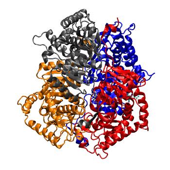 Structure preview of MDBind 4qt0