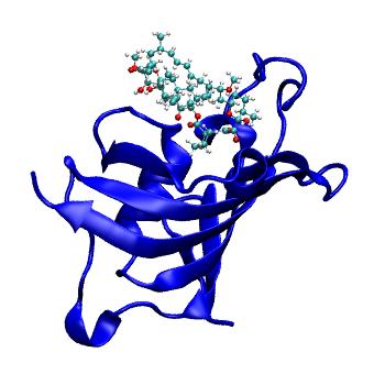 Structure preview of MDBind 4qt2