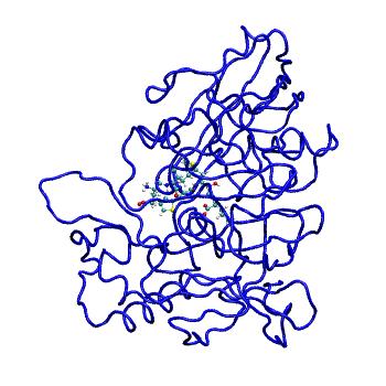 Structure preview of MDBind 4trz