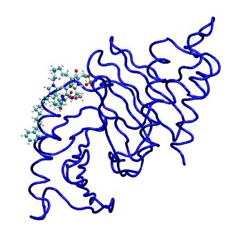 Structure preview of MDBind 4x9w