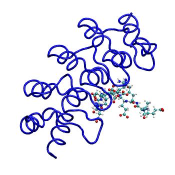 Structure preview of MDBind 4z68