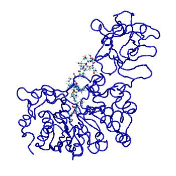 Structure preview of MDBind 5ajo