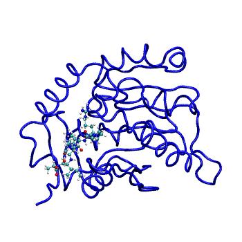 Structure preview of MDBind 5e1o