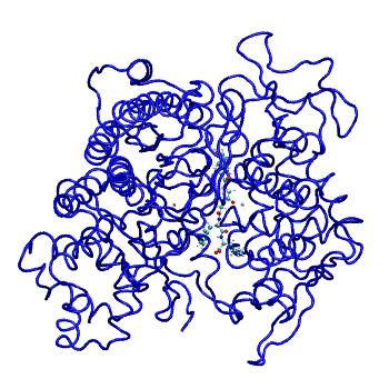 Structure preview of MDBind 5e3a