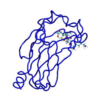 Structure preview of MDBind 5e8f