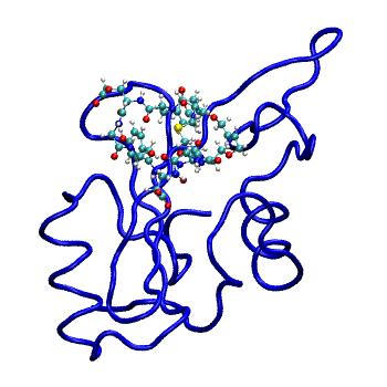 Structure preview of MDBind 5eel