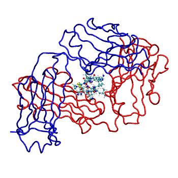 Structure preview of MDBind 5ff6