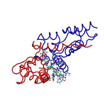 Structure preview of MDBind 5h7g